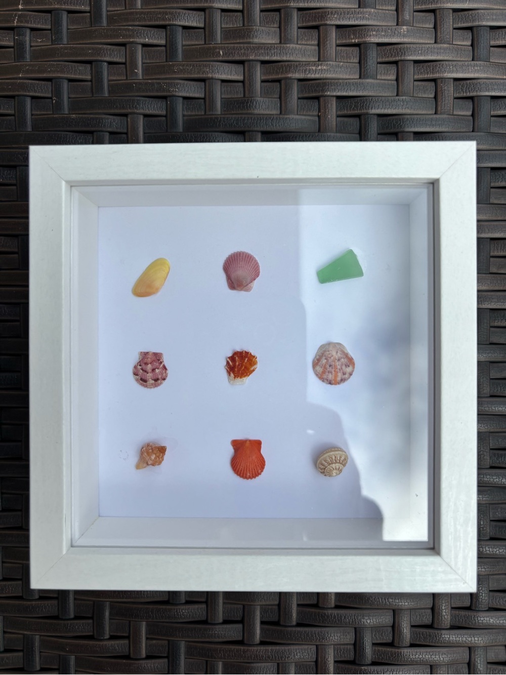 Original Coastal Art White Shadow Box with Multicolor Shells from SW FL - Picture 3 of 4